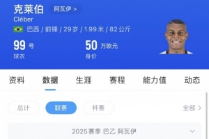 苗原：玉昆敲定巴乙银靴克莱伯和巴乙中场卡约，内内、恩里克离队