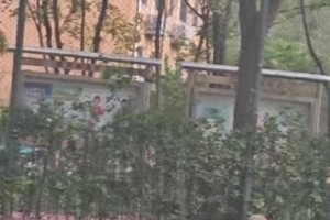 它的运球是不是比某些人好？